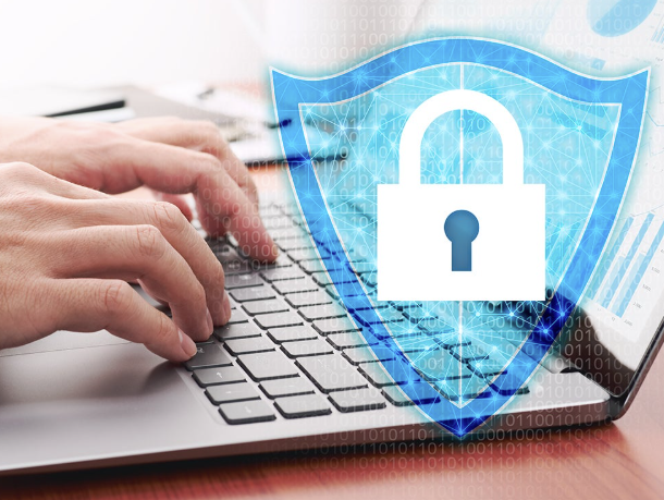 How Organizations Prevent Data Breaches