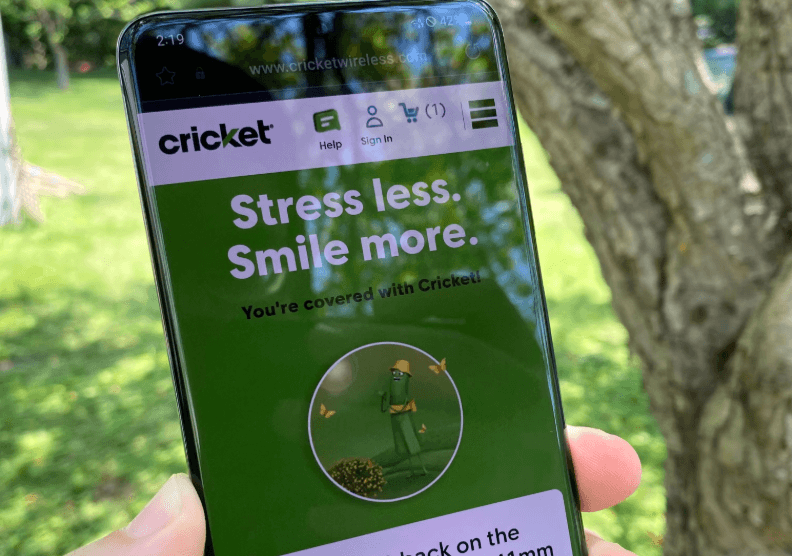 Why phone system size matters during live cricket